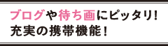 ۸ނ҂߯![̌gы@\!